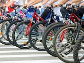 Международный велопробег 7 июля доберётся до Ростова Великого