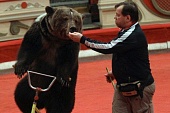 Медведя Тимофея обокрали в Татарстане