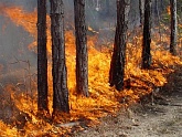 В Ярославской области отменили особый противопожарный режим