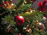 На главной площади Ярославля скоро засияет новогодняя елка
